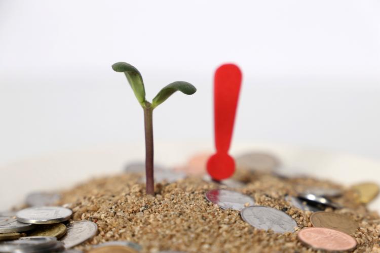 從在線營銷場景切入，螳螂科技獲數(shù)千萬元Pre-A輪融資