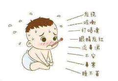 寶寶出生6個(gè)月后特別容易生病 這是真的嗎？