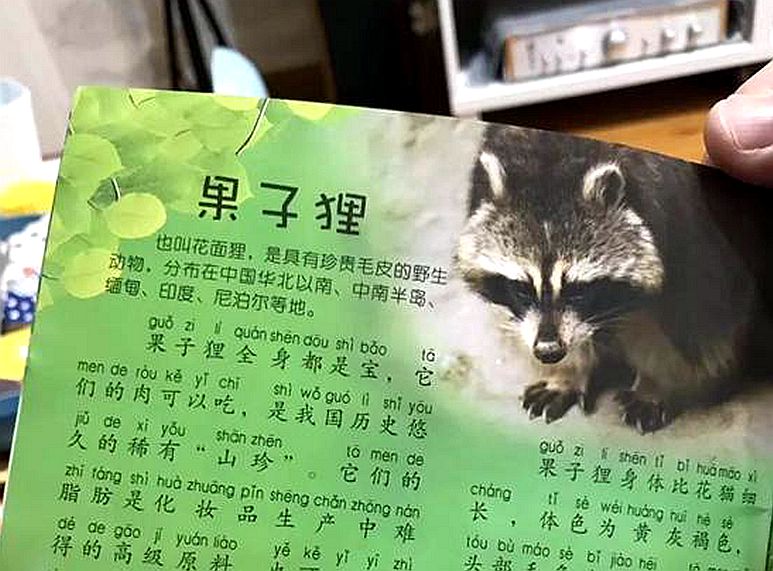 兒童讀物出現(xiàn)果子貍不當表述 請對兒童認知認真負責