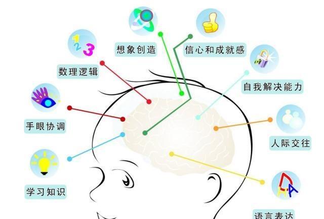 哈佛大學(xué):兒童大腦發(fā)育的高峰期只有三次，家長(zhǎng)抓對(duì)一次就夠了
