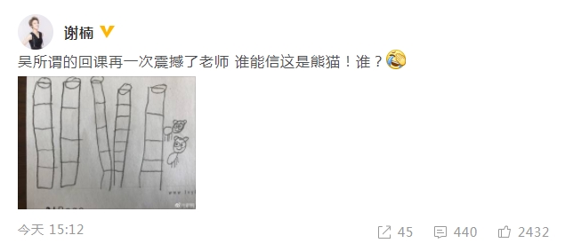 謝楠曬吳所謂畫(huà)的搞笑熊貓 忍不住發(fā)問(wèn)：誰(shuí)能信？