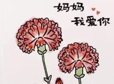 母親節(jié)，親貝網(wǎng)小編教你畫出康乃馨送給媽媽