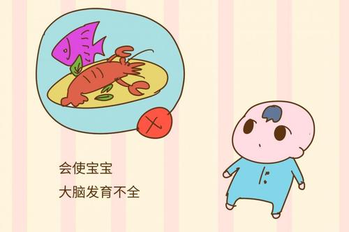 大腦發(fā)育的三個(gè)階段 如何補(bǔ)充營養(yǎng)更聰明