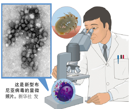 蜱蟲攜帶傳染性病毒 兒童戶外活動(dòng)注意防范