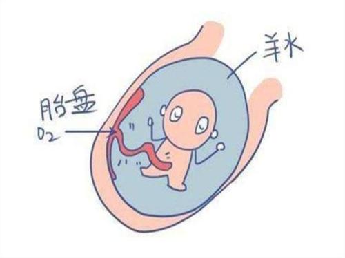 胎兒在媽媽肚子里的時(shí)候，羊水會(huì)不會(huì)進(jìn)耳朵里？