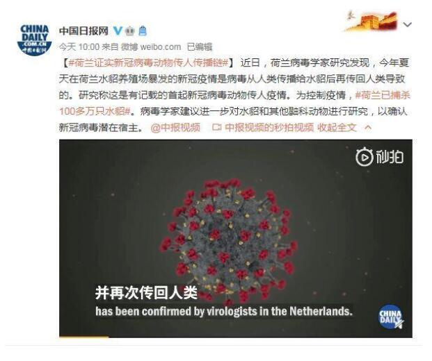 荷蘭證實新冠病毒動物傳人傳播鏈 新冠疫情抗戰(zhàn)仍未結(jié)束