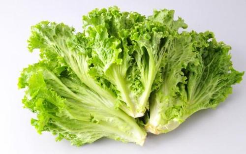 雞肉和生菜還有這么奇妙的搭配，你知道嗎？