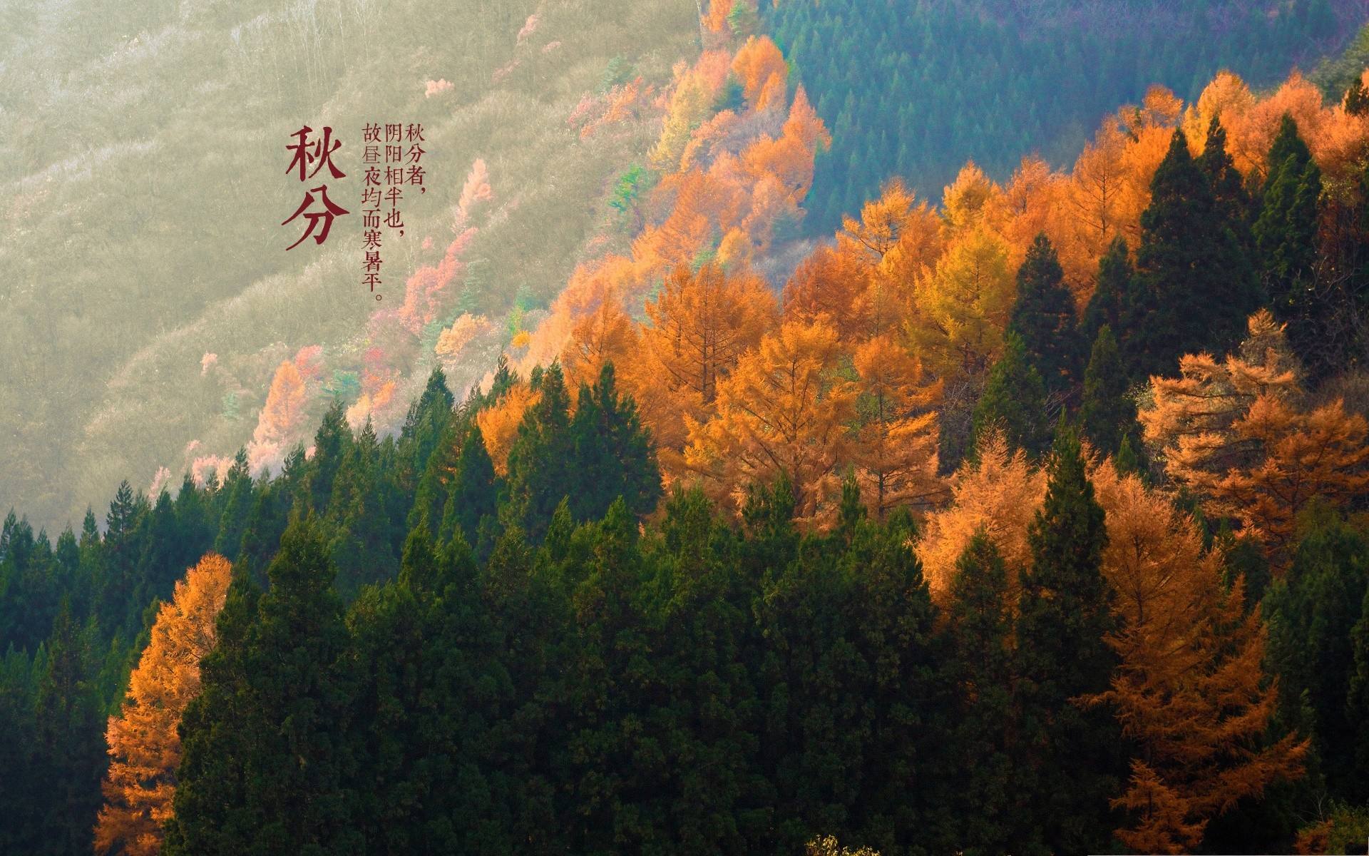 秋分時節(jié)到了，怎么呵護寶寶的腸道