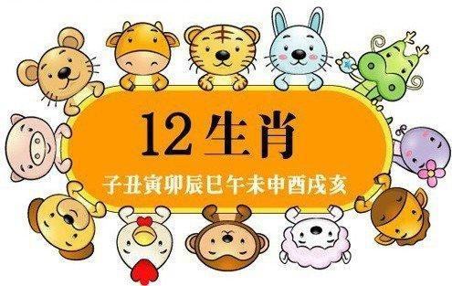 這些生肖的寶寶，生來(lái)就是報(bào)恩的！