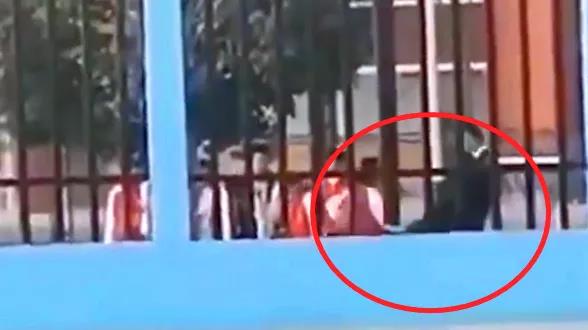 支教老師連踹小學(xué)生，你可知道何為為人師表？