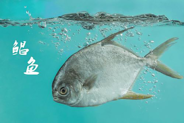給孩子吃魚有講究，這幾種魚要遠(yuǎn)離