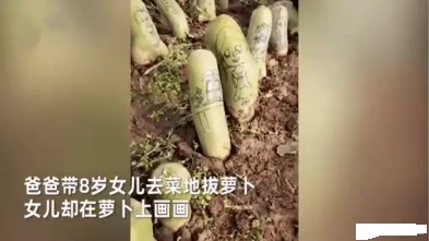 小女孩不拔蘿卜反而在上面涂鴉，網(wǎng)友：蘿卜要升價