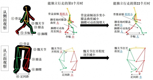 花王運用動作捕捉技術(shù)揭示幼兒行走能力發(fā)展的內(nèi)在機制