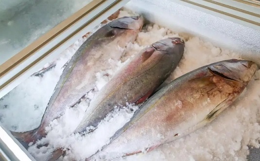 魚肉雖有營養(yǎng)，但家長千萬不要給孩子吃這幾類魚
