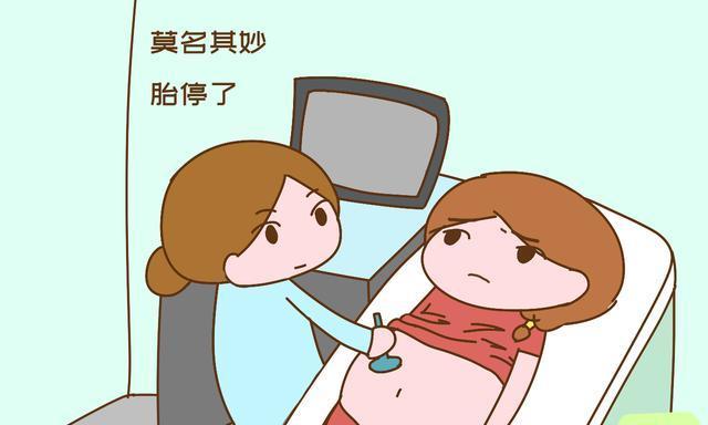 孕早期胎停育不是沒有任何征兆，提前發(fā)現(xiàn)，才能早應(yīng)對