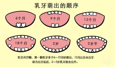 保護(hù)恒牙，不要忽視乳牙的健康