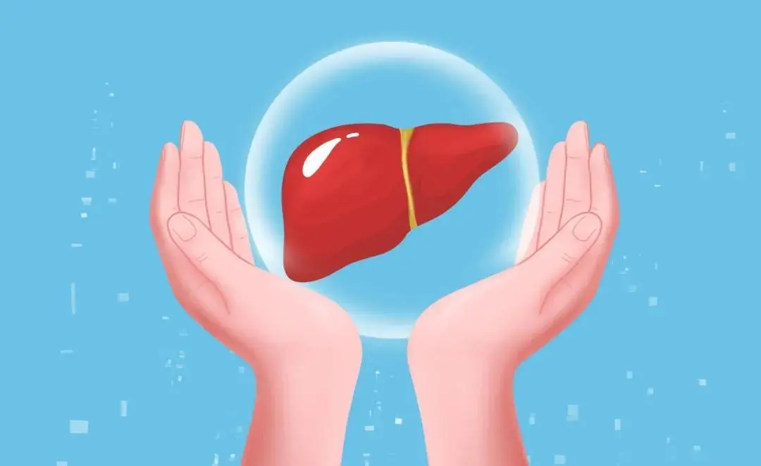 日常生活中該如何養(yǎng)肝？