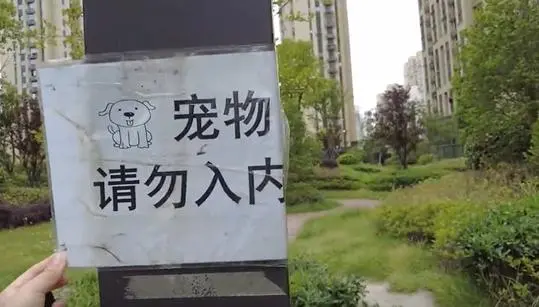 馬上評｜遛狗不拴繩還打孩子，突破了三重底線
