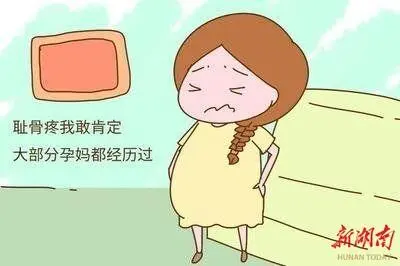 孕婦大腿根部痛？小心恥骨聯(lián)合分離！