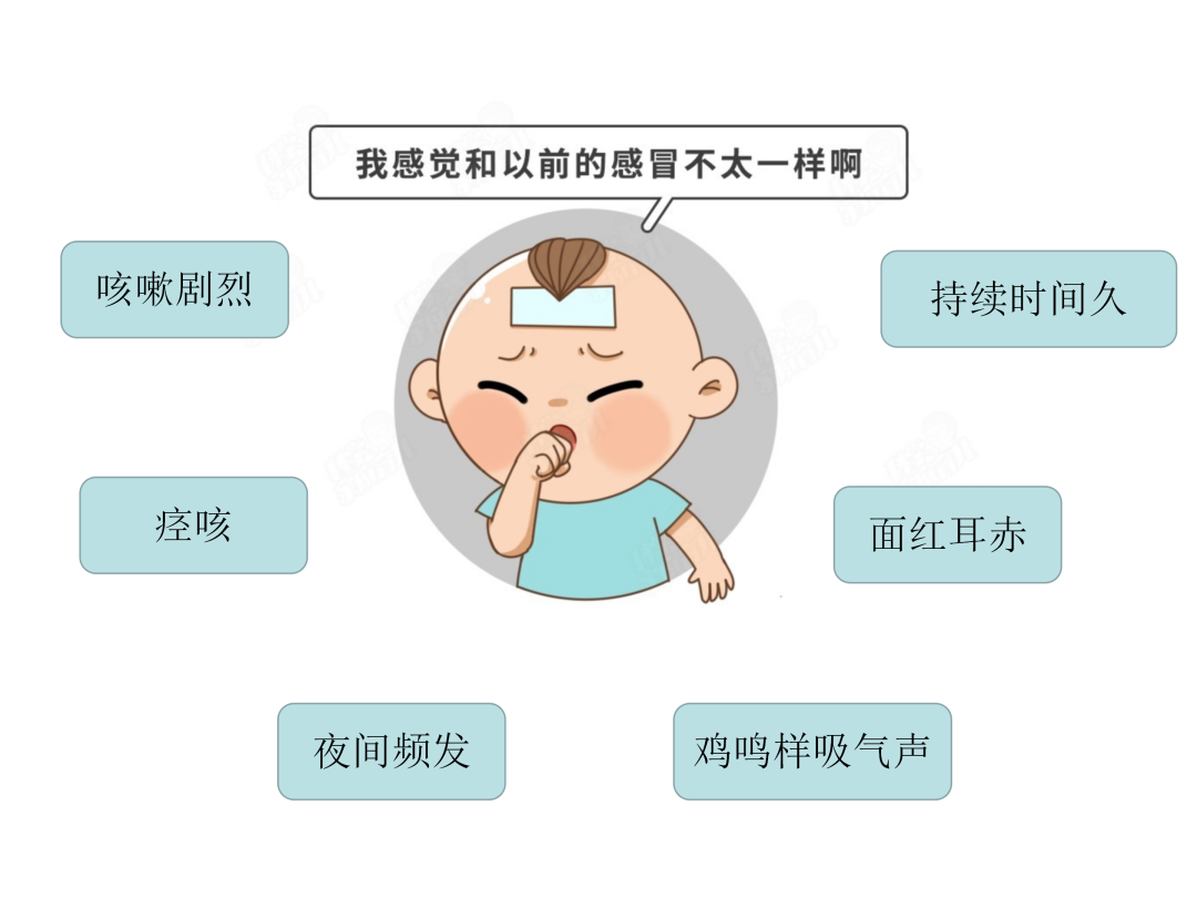 【微科普】“肺”常時(shí)期，“咳”不容緩