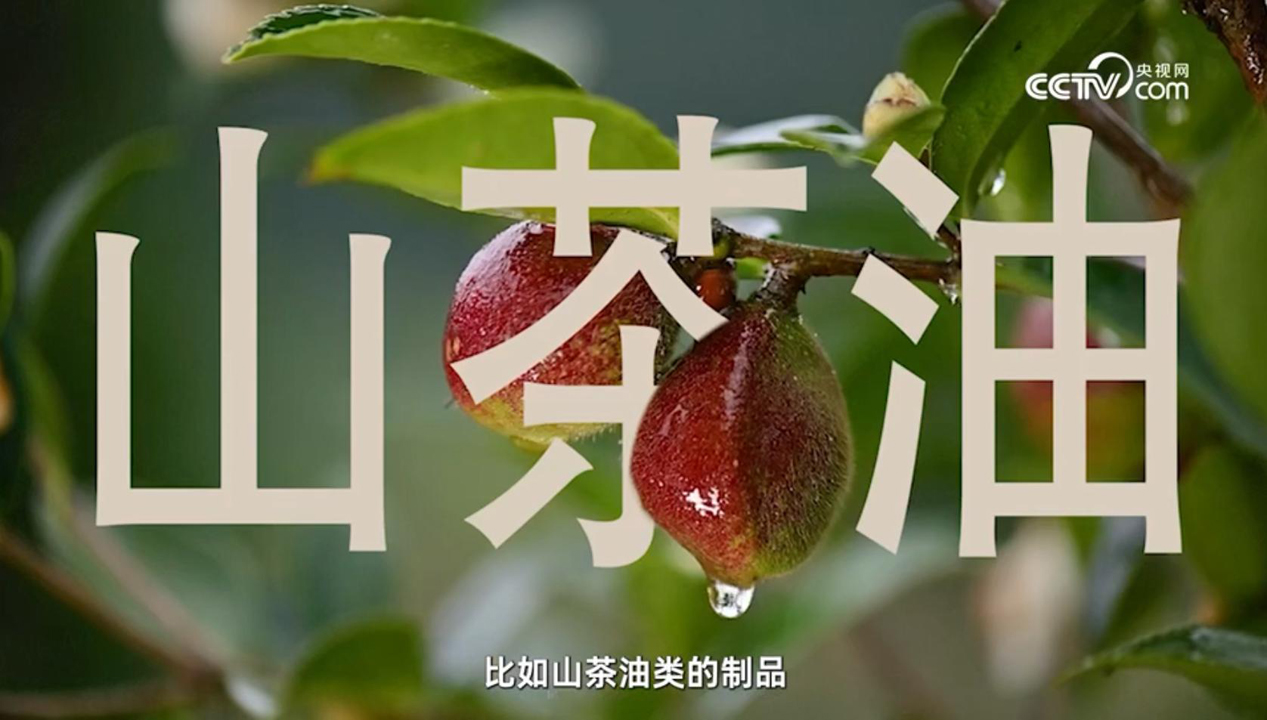 CCTV點(diǎn)贊，松達(dá)山茶油嬰童面霜連續(xù)5年全國銷量第一!