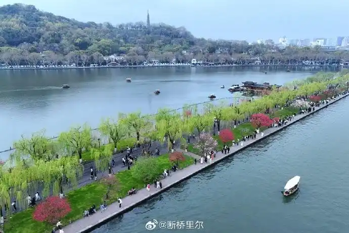 門診過敏患者超7成 春天的“飛絮煩惱”如何破解？