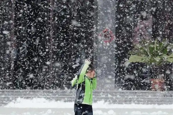 春日飄“雪”，楊柳絮的煩惱又來了！防過敏這樣做→